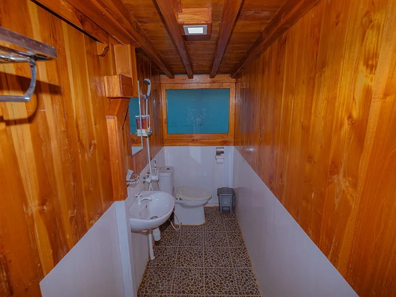 VIP Ocean Master - Image 1